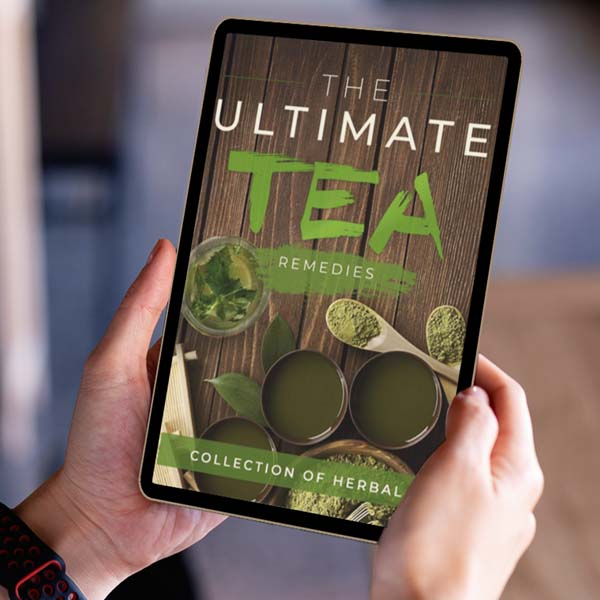 Free Bonus #1 Book